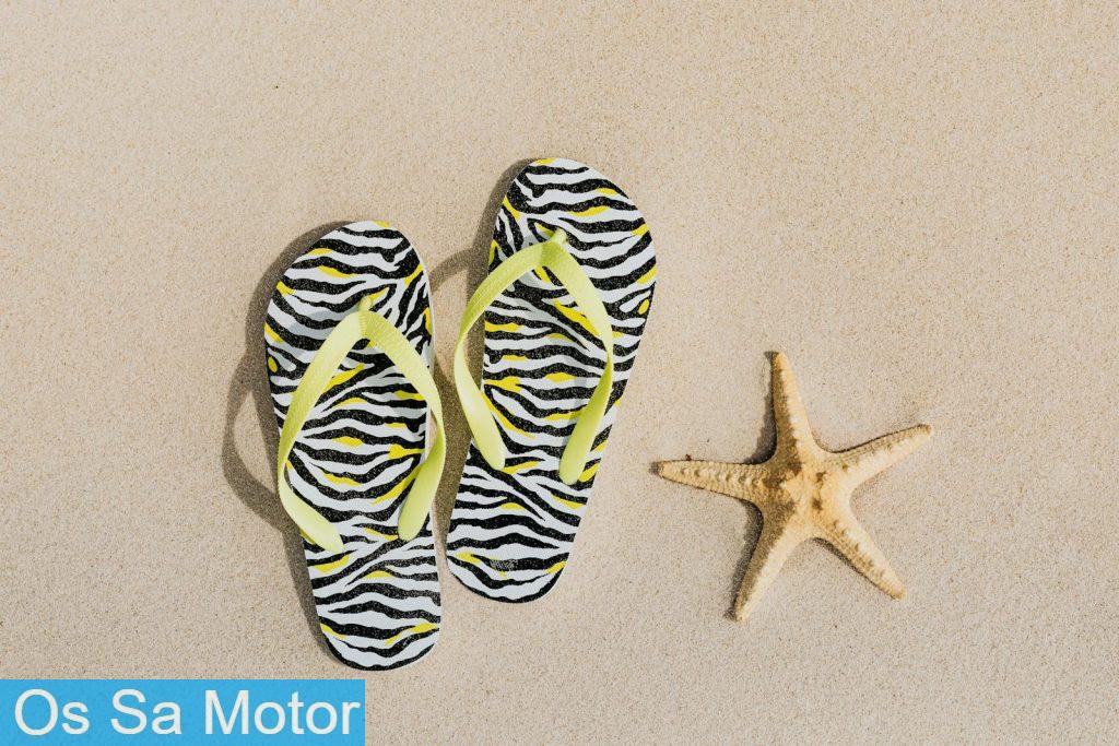 Flip Flops and a Starfish on Sand