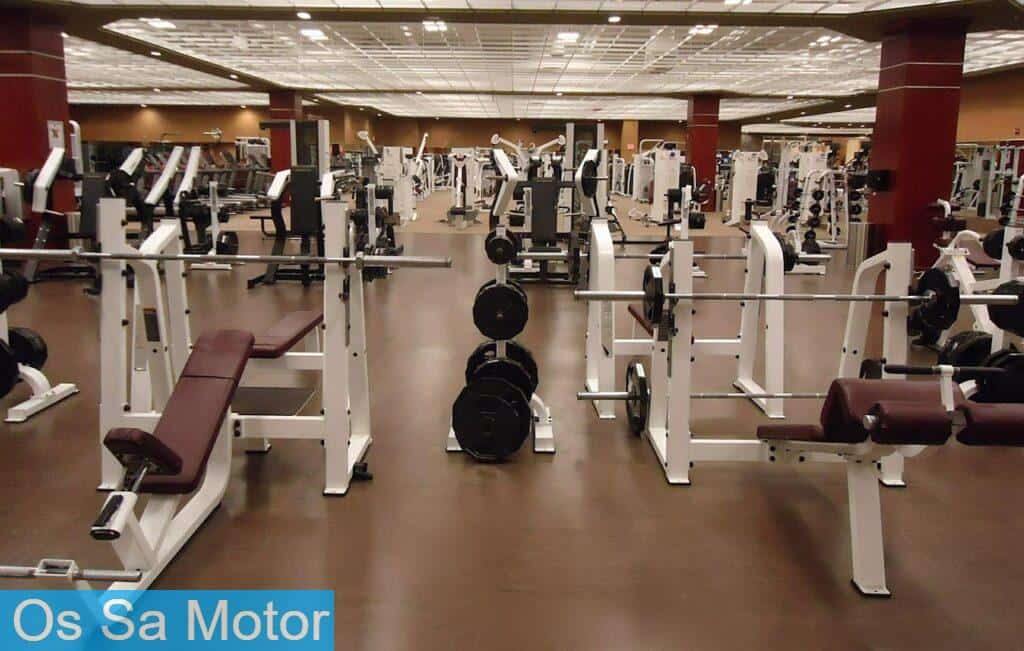Rutinas de gimnasio para principiantes: cómo empezar 
