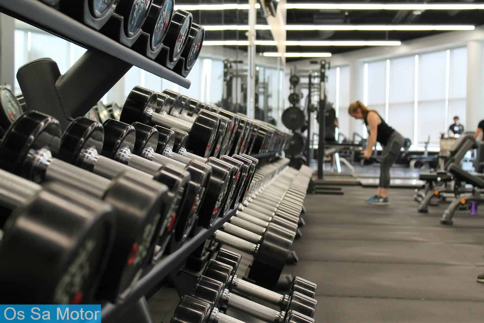Rutinas de gimnasio para principiantes: cómo empezar y no abandonar