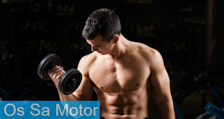 entrenando biceps